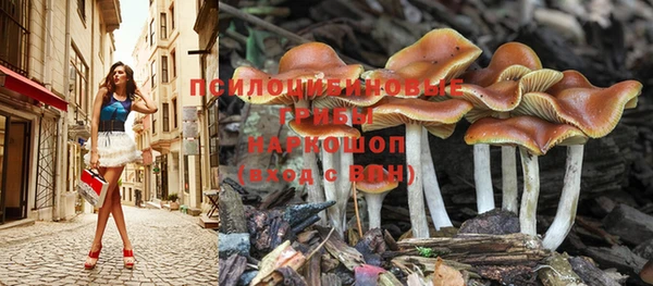 соль курить ск Ельня