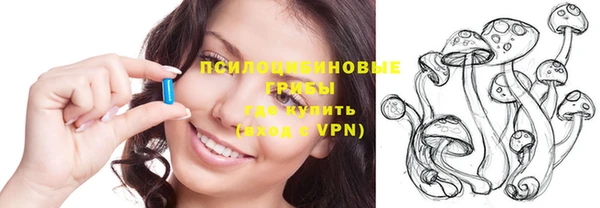 соль курить ск Ельня