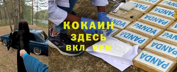 ешки Елабуга