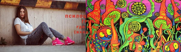 ешки Елабуга