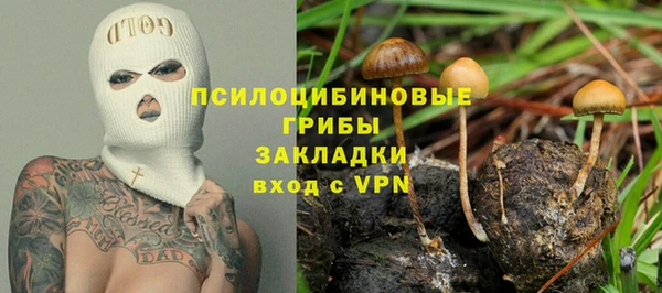 ALPHA-PVP Елизово