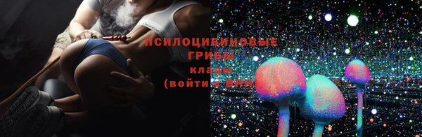 ешки Елабуга