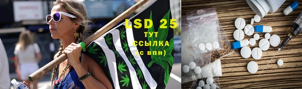 индика Заволжье